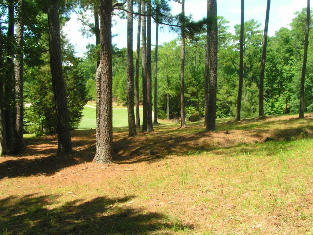 0 Hamilton Lane McCormick, SC 29835 - Photo 1 of 5 Main View