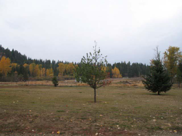 1631 Deeter Road Newport, WA 99156 - Photo 9 of 9 Gallery Image 9