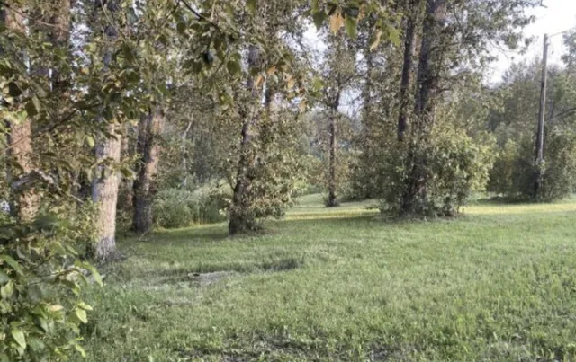 $69,000 | 0 Soldier Pond Rapid, Wallagrass, ME 04781