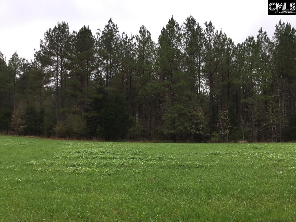 Old Cherokee Road Blair, SC 29015 - Photo 13 of 18