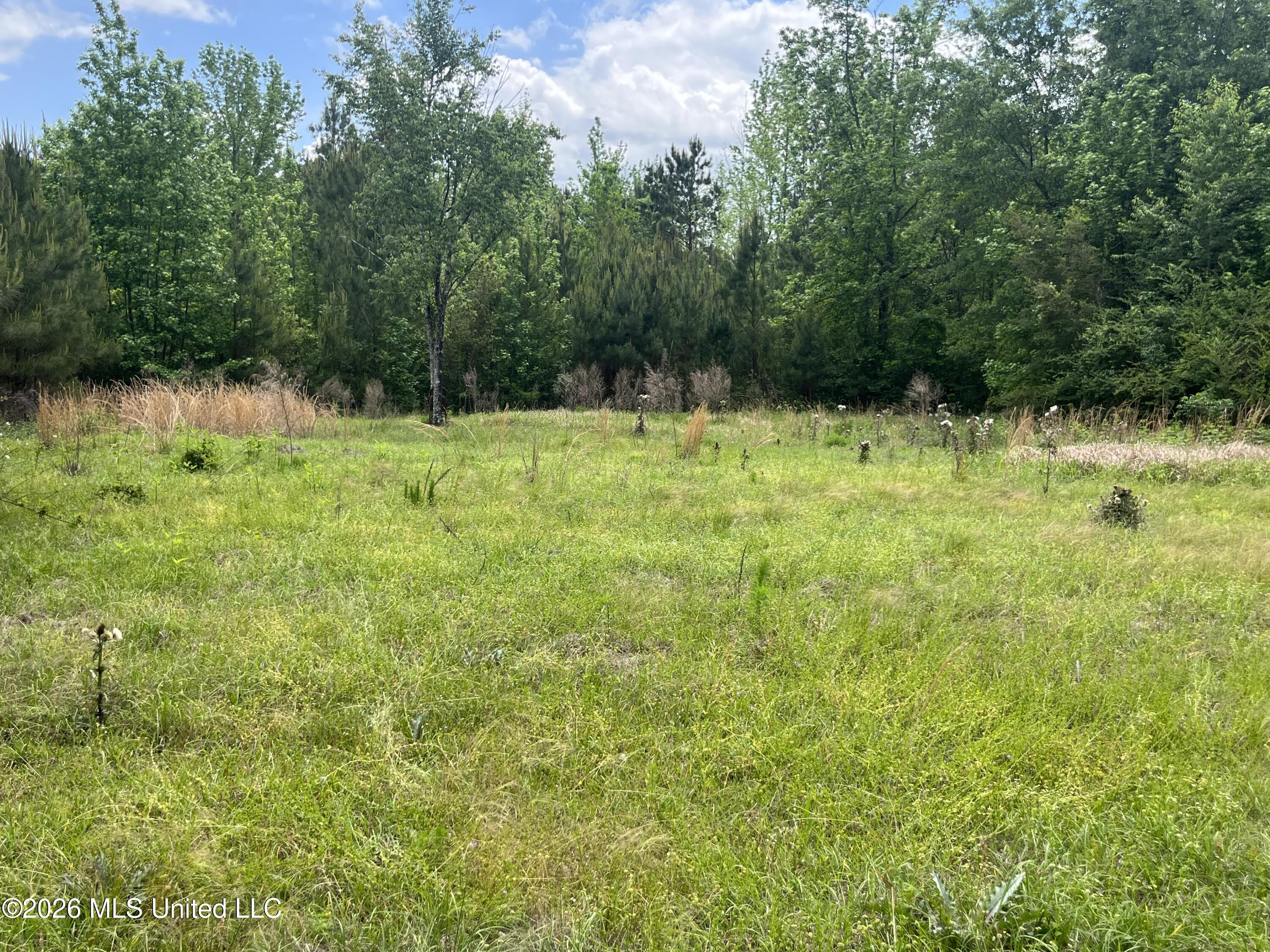 328 West Progress Road Prentiss, MS 39474 - Photo 6 of 18 IMG_8194