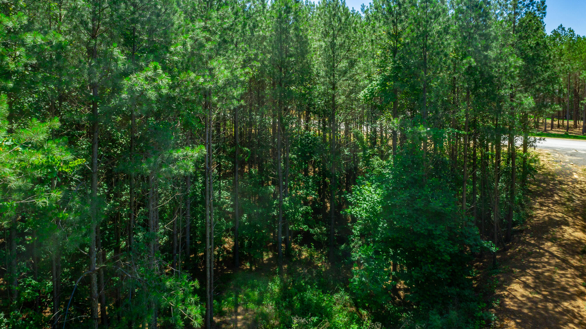 0 Split Rail Way, Unit LOT 1163 Guild, TN 37340 - Photo 59 of 118 River Gorge Lot 1163 HD-65
