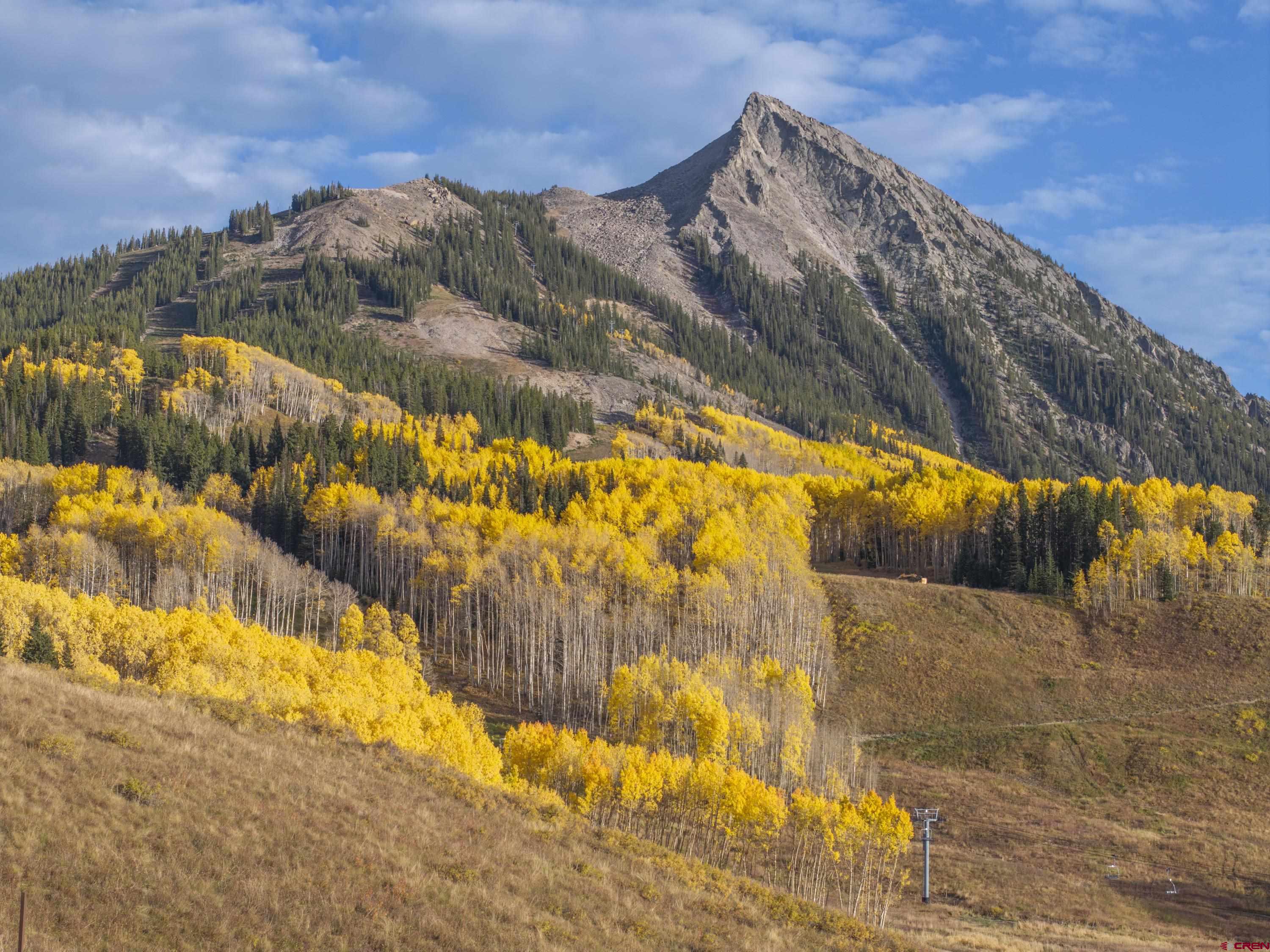 63 Cinnamon Mountain Road Crested Butte, CO 81225 - Photo 23 of 45 a view of outside space