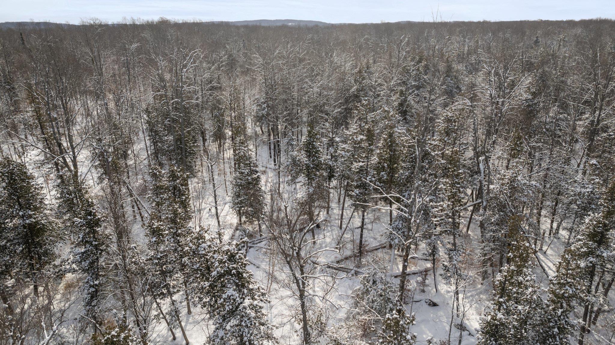 0 East 14th Road Manton, MI 49663 - Photo 21 of 38