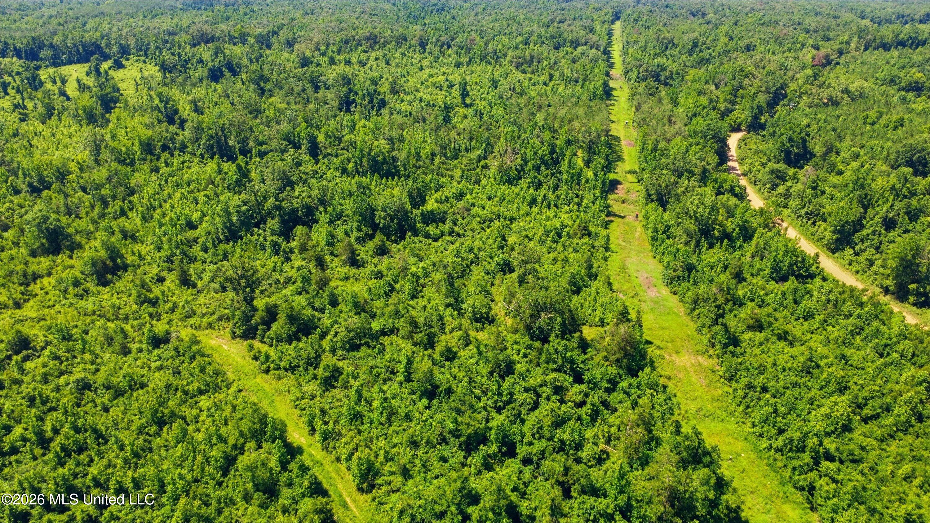 159 County Road Coila, MS 38923 - Photo 14 of 14 CR_159-160_Coila_Drone_027 (1)