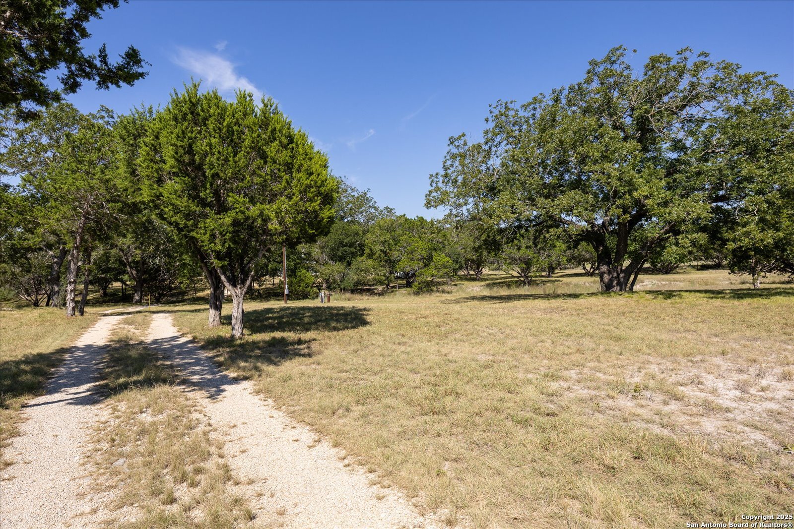 363 Elm Pass II Road East Center Point, TX 78010 - Photo 4 of 50 a view of a yard with a tree