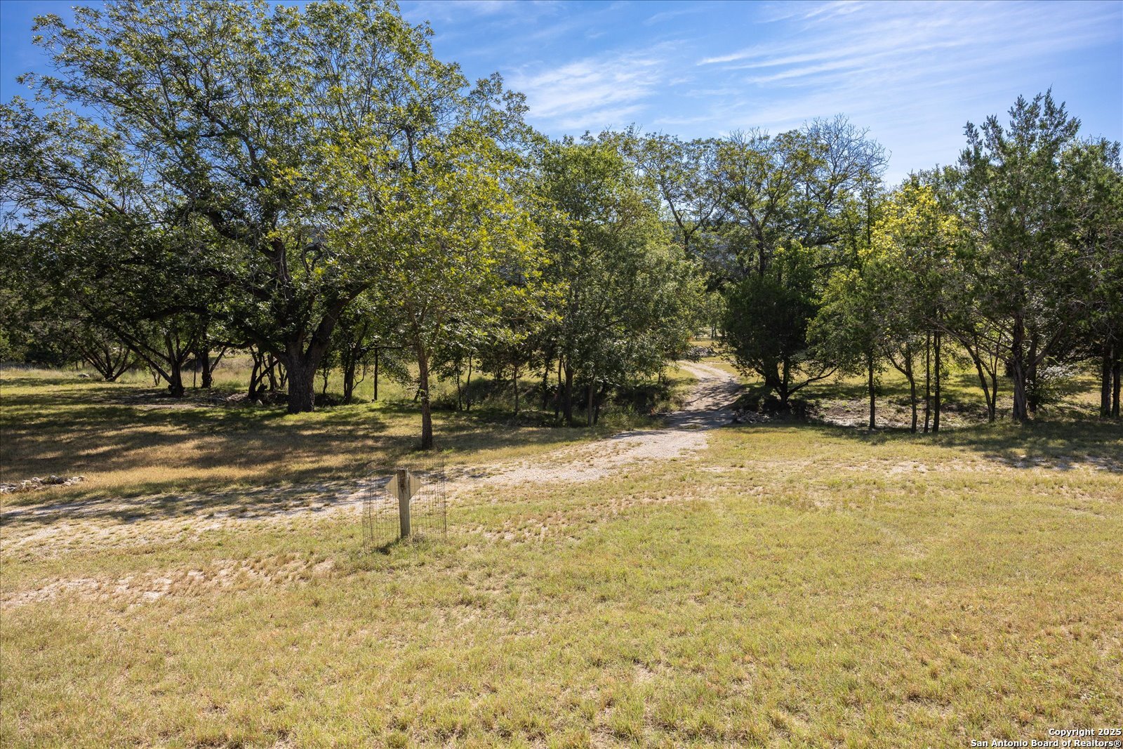 363 Elm Pass II Road East Center Point, TX 78010 - Photo 6 of 50 a view of yard