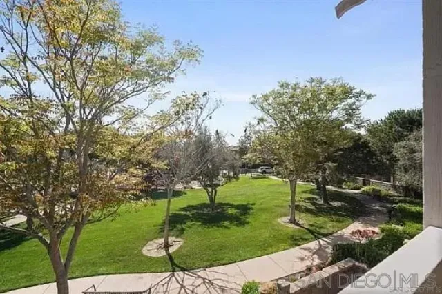 a view of a park with large trees