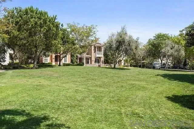 a tall tree in middle of green field