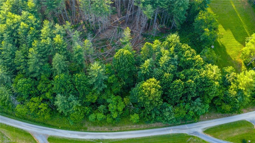 16 Bill Cooper Road Crumpler, NC 28617 - Photo 19 of 21 Gallery Image 19