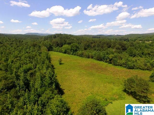 436 Newbury's Road, Unit 79 ACRES Ashland, AL 36251 - Photo 11 of 27
