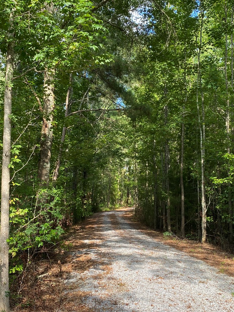 1001 Crawford Creek Road Cowarts, AL 36321 - Photo 12 of 17