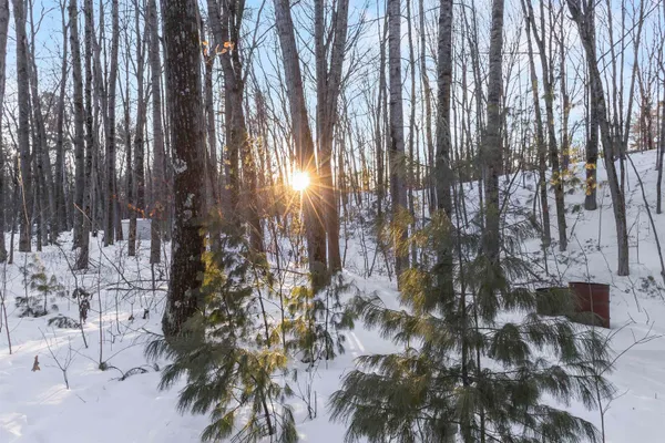 $299,900 | W2412 Twin Pine Lane, Porterfield, WI 54159