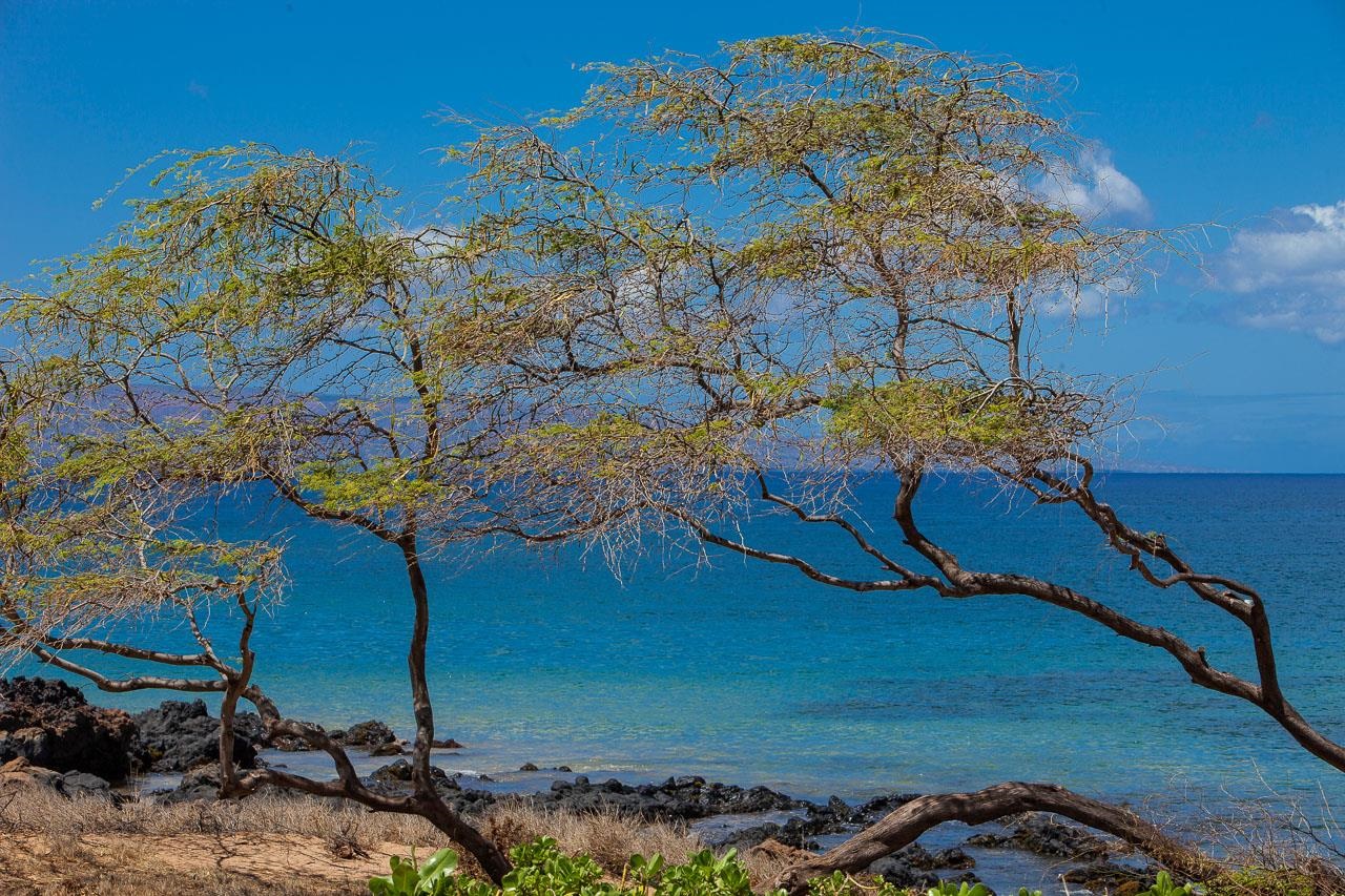 2695 South Kihei Road, Unit 8101 Kihei, HI 96753 - Photo 35 of 39