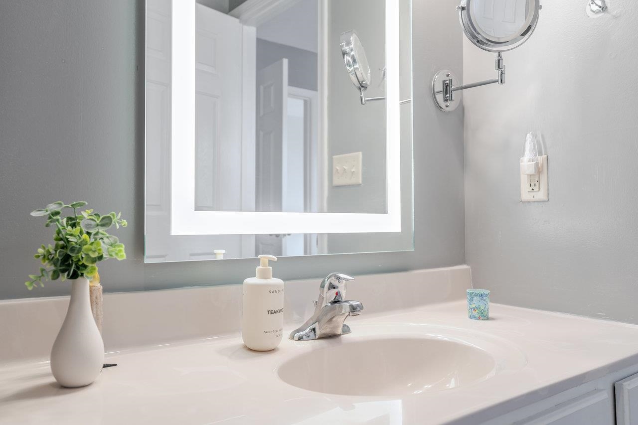 3035 Taylor Spring Lane Harrisonburg, VA 22801 - Photo 28 of 55 a bathroom with a sink a vanity and a potted plant