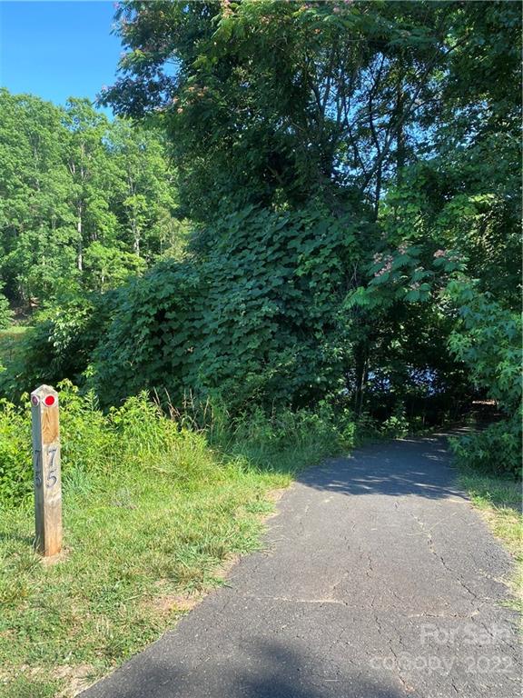 669 6th Baxter Crossing Fort Mill, SC 29708 - Photo 37 of 39 a view of a road with a plants and trees
