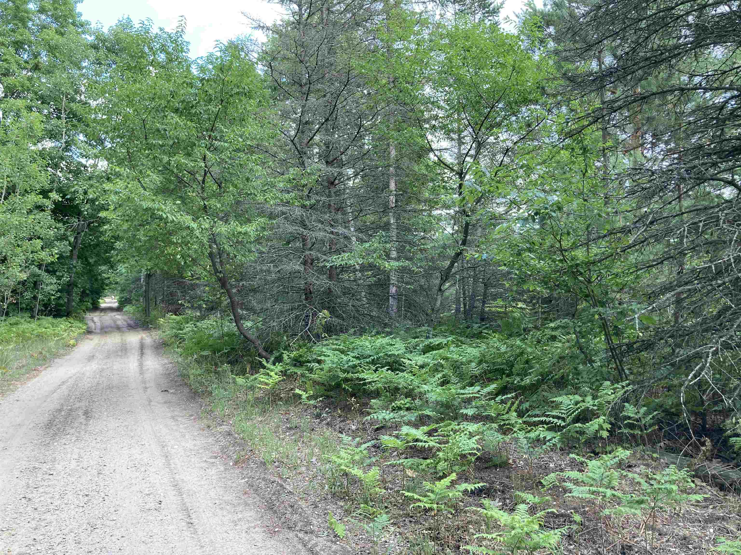 Nimrod Road Traverse City, MI 49685 - Photo 7 of 14