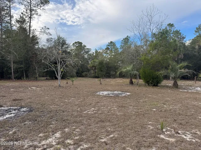 a view of backyard with green space