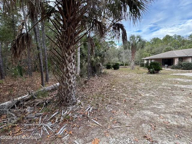 a backyard of a house with lots of green space