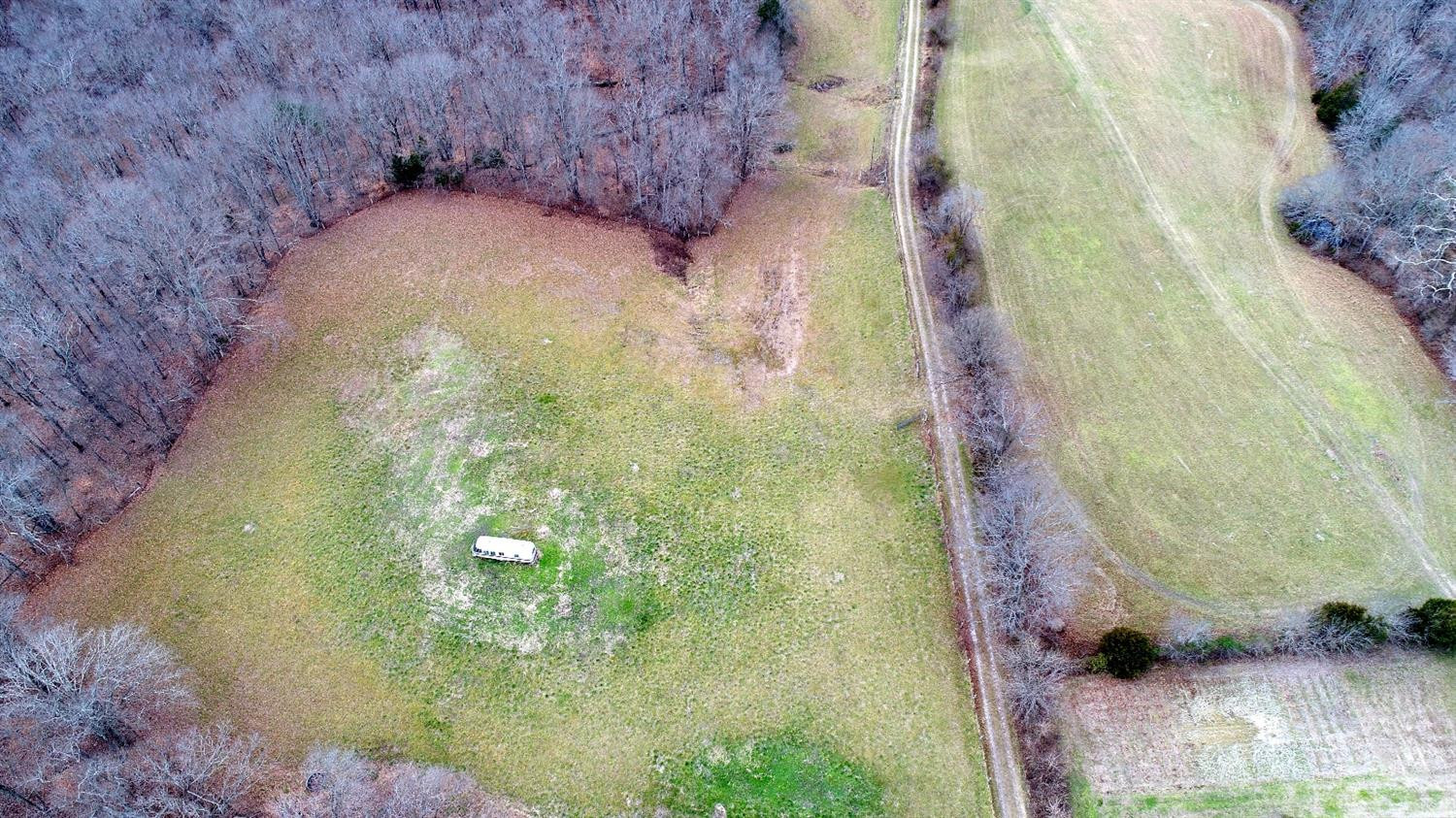 146 Opossum Run Road Irvine, KY 40336 - Photo 7 of 64 Once yielded award wining hay! Placed i