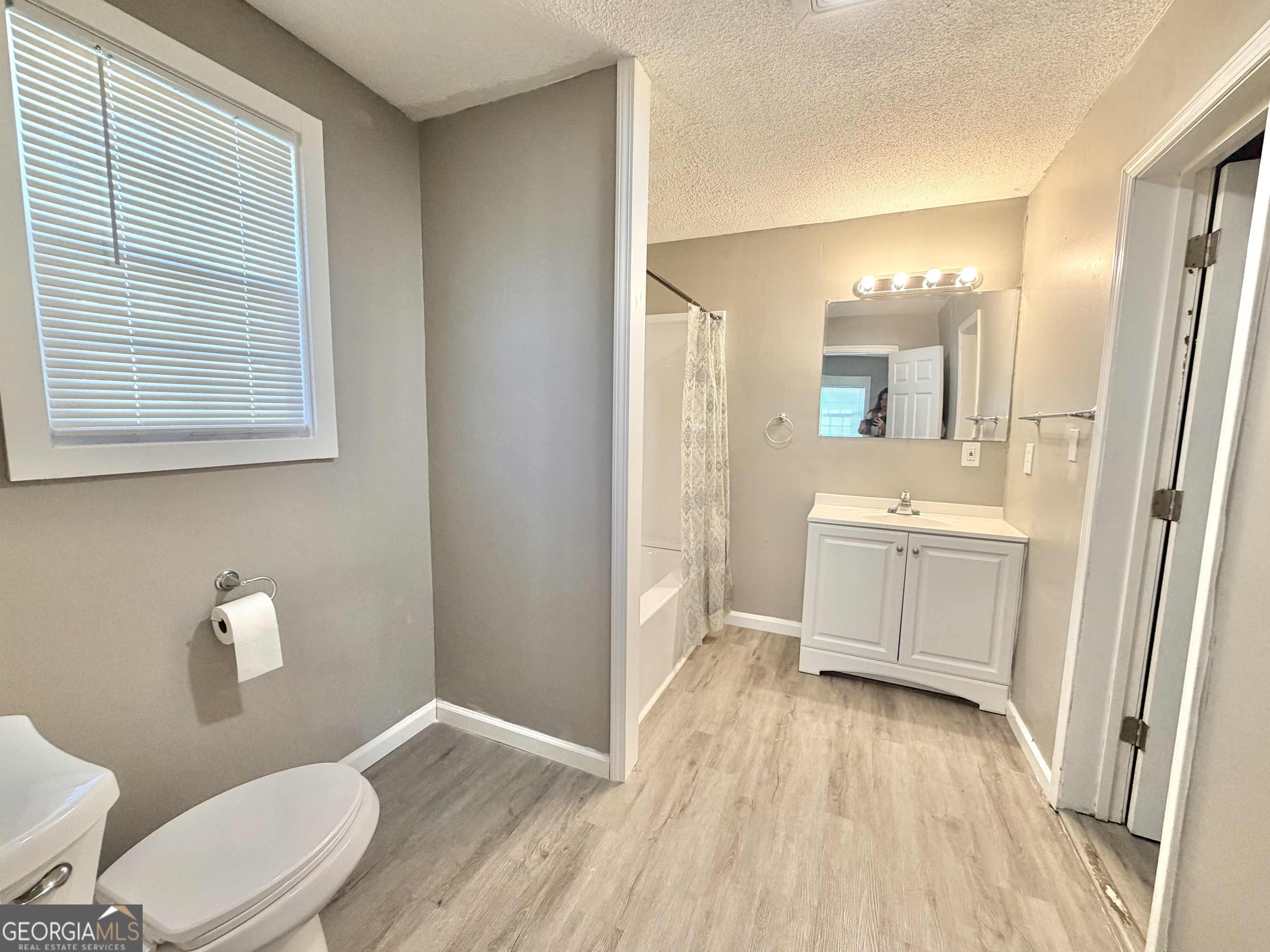10 Busha Street Toccoa, GA 30577 - Photo 9 of 33 a bathroom with a sink a toilet a mirror and window