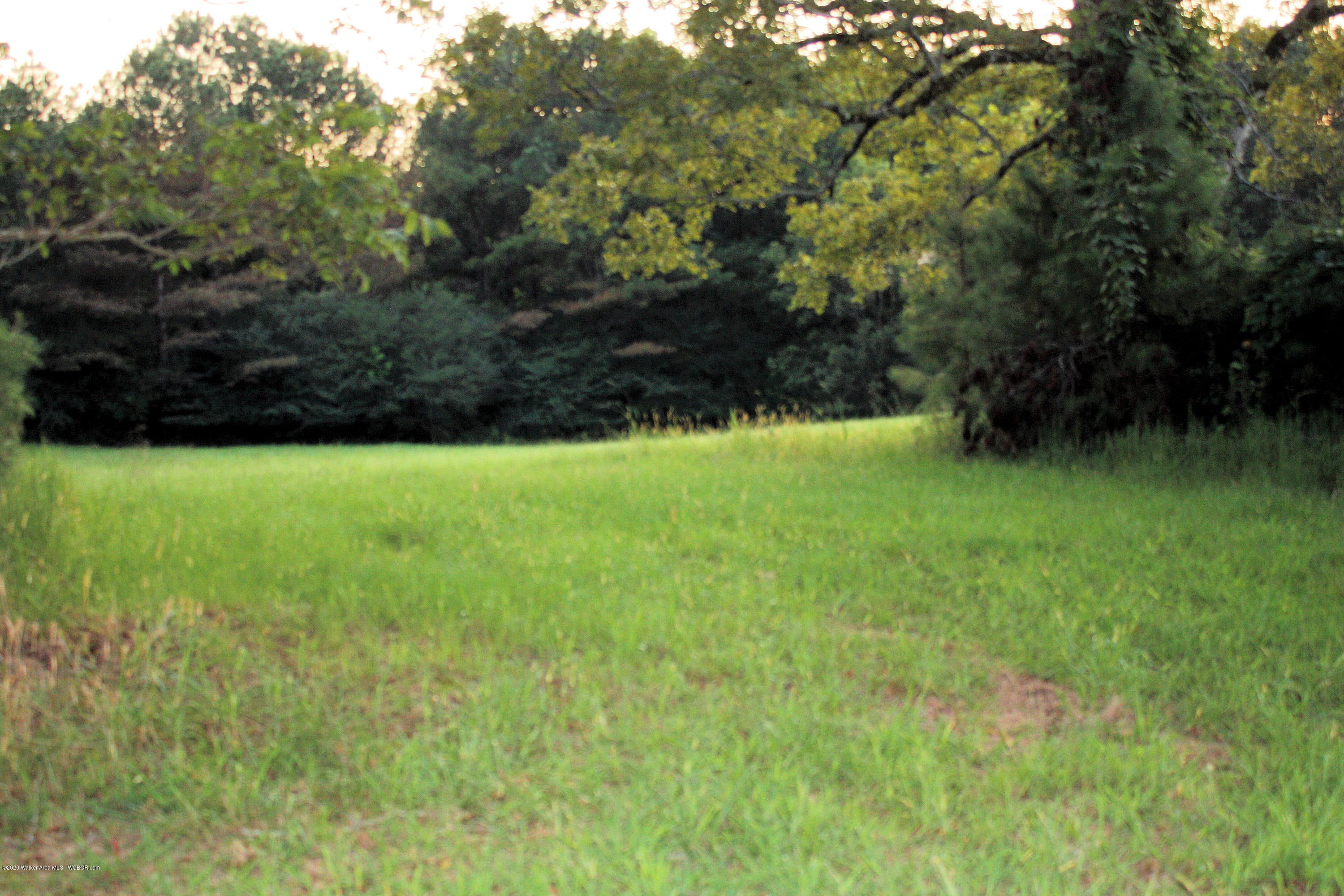 Rose Road Nauvoo, AL 35578 - Photo 4 of 12 Gallery Image 4