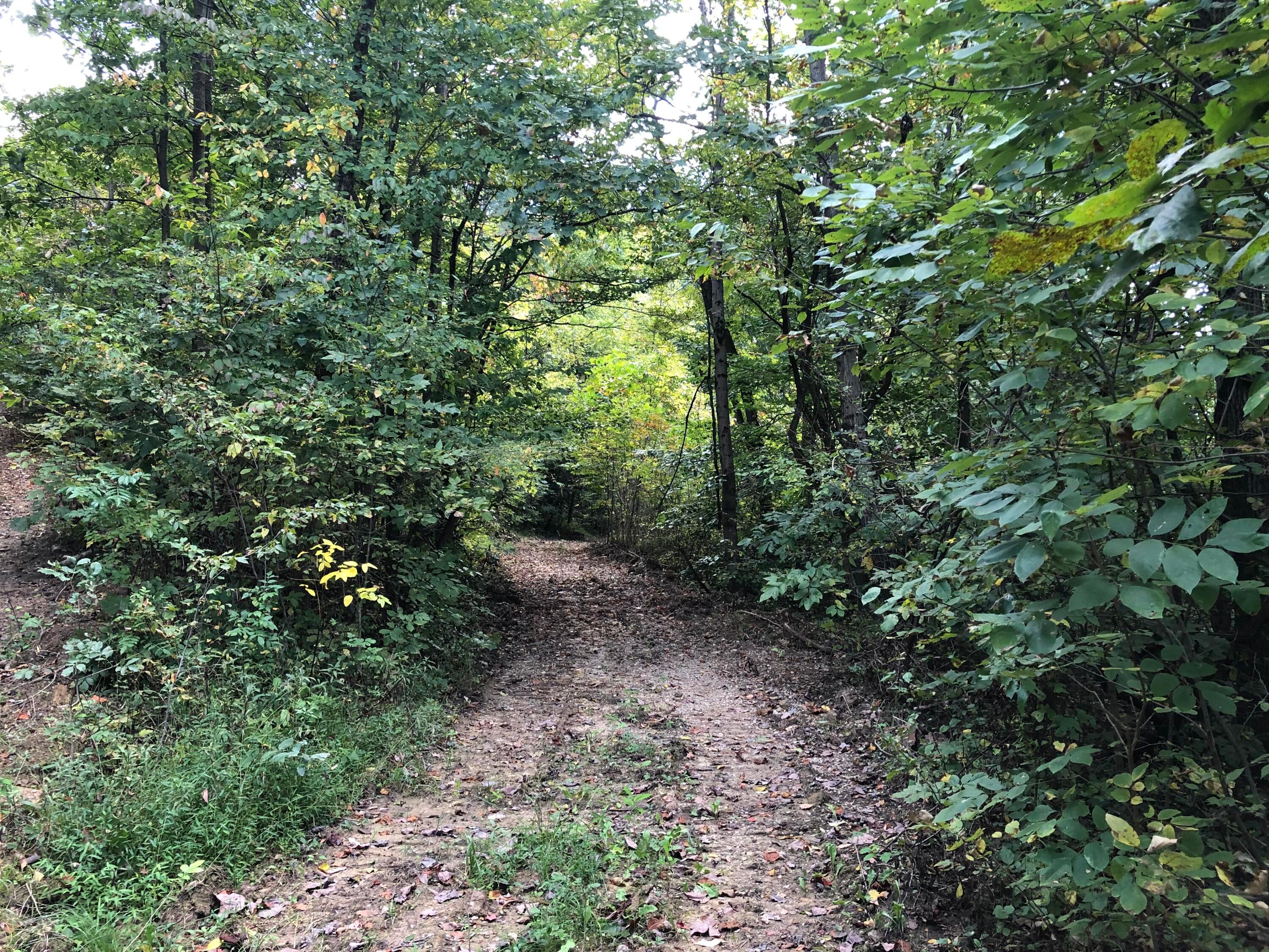 0 County Road 90 Road Crooksville, OH 43731 - Photo 24 of 39 021