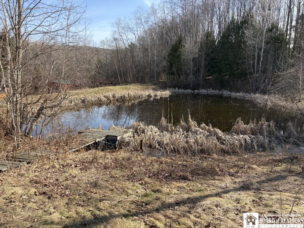 1784 Emory Hill Road Frewsburg, NY 14738 - Photo 7 of 34