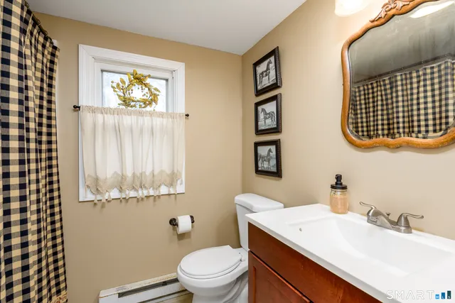a bathroom with a sink a mirror and a toilet