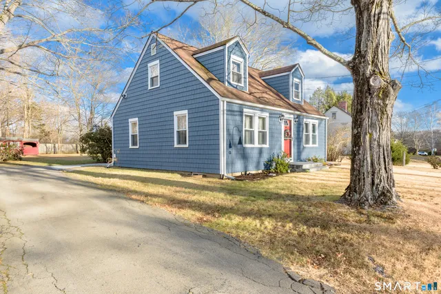 a street view with large trees