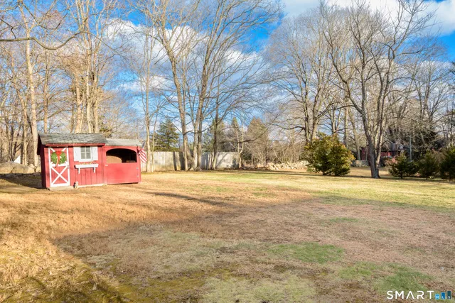 a view of large trees with yard