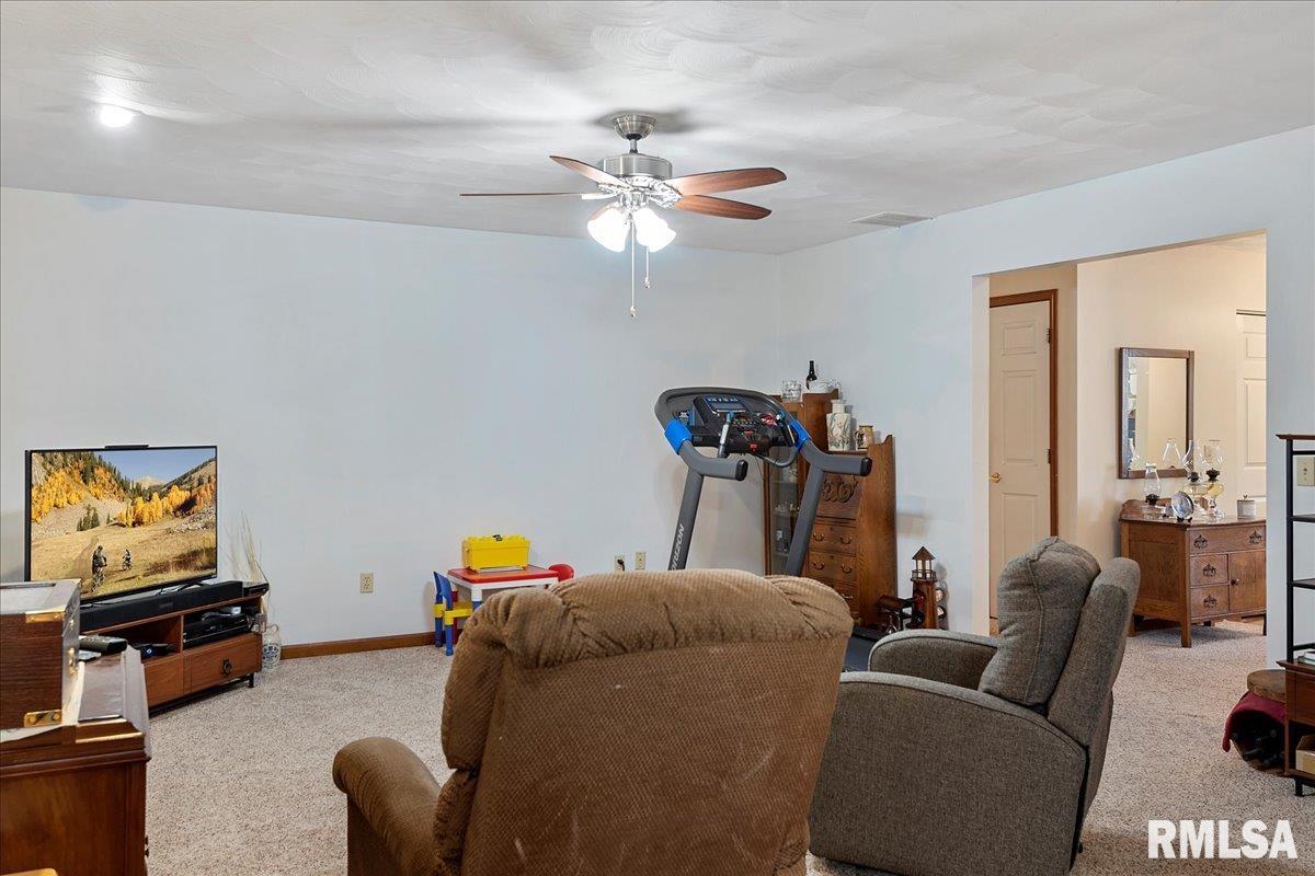 3990 Virginia Lane Spaulding, IL 62561 - Photo 11 of 39 Gallery Image 11