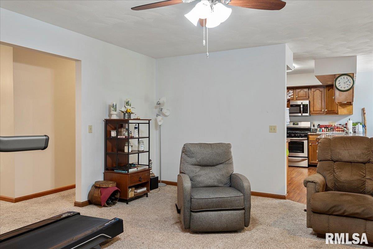 3990 Virginia Lane Spaulding, IL 62561 - Photo 12 of 39 Gallery Image 12