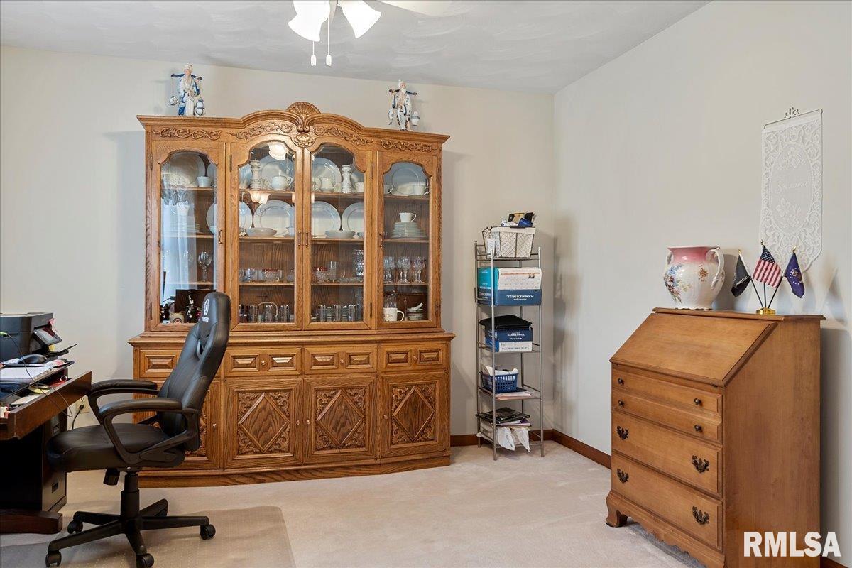 3990 Virginia Lane Spaulding, IL 62561 - Photo 7 of 39 Gallery Image 7