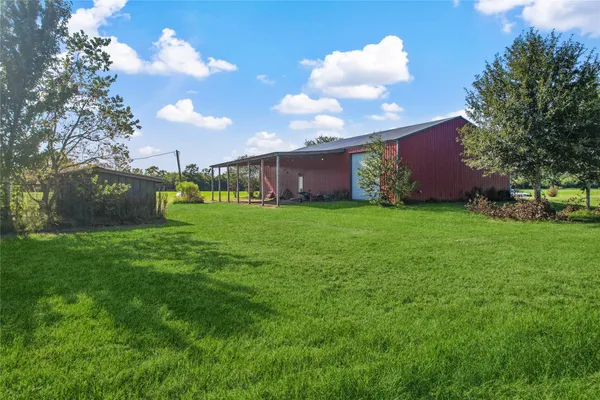 a view of a big yard with a large tree