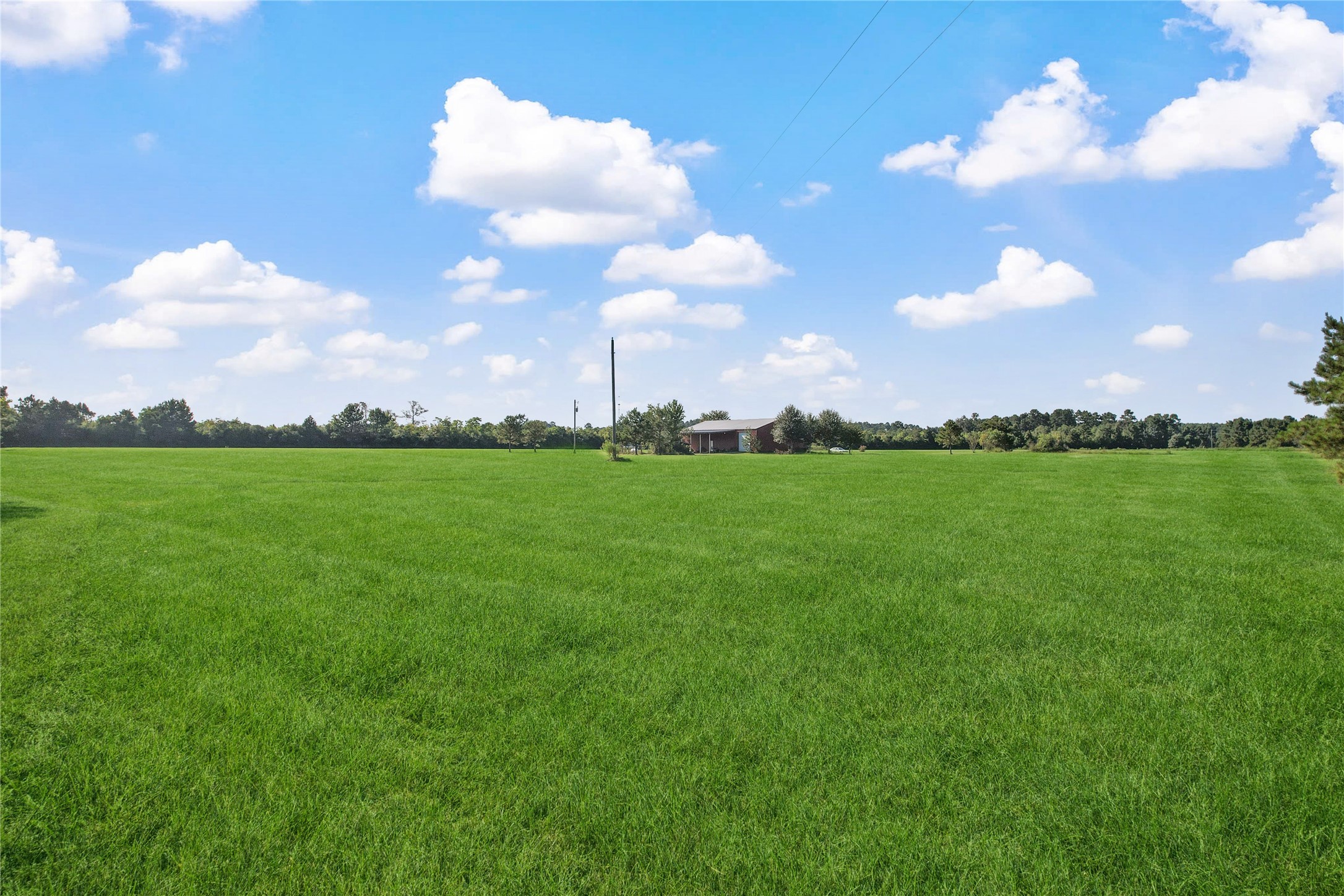 501 County Road 2276 Cleveland, TX 77327 - Photo 34 of 49 a view of a big yard with a large tree