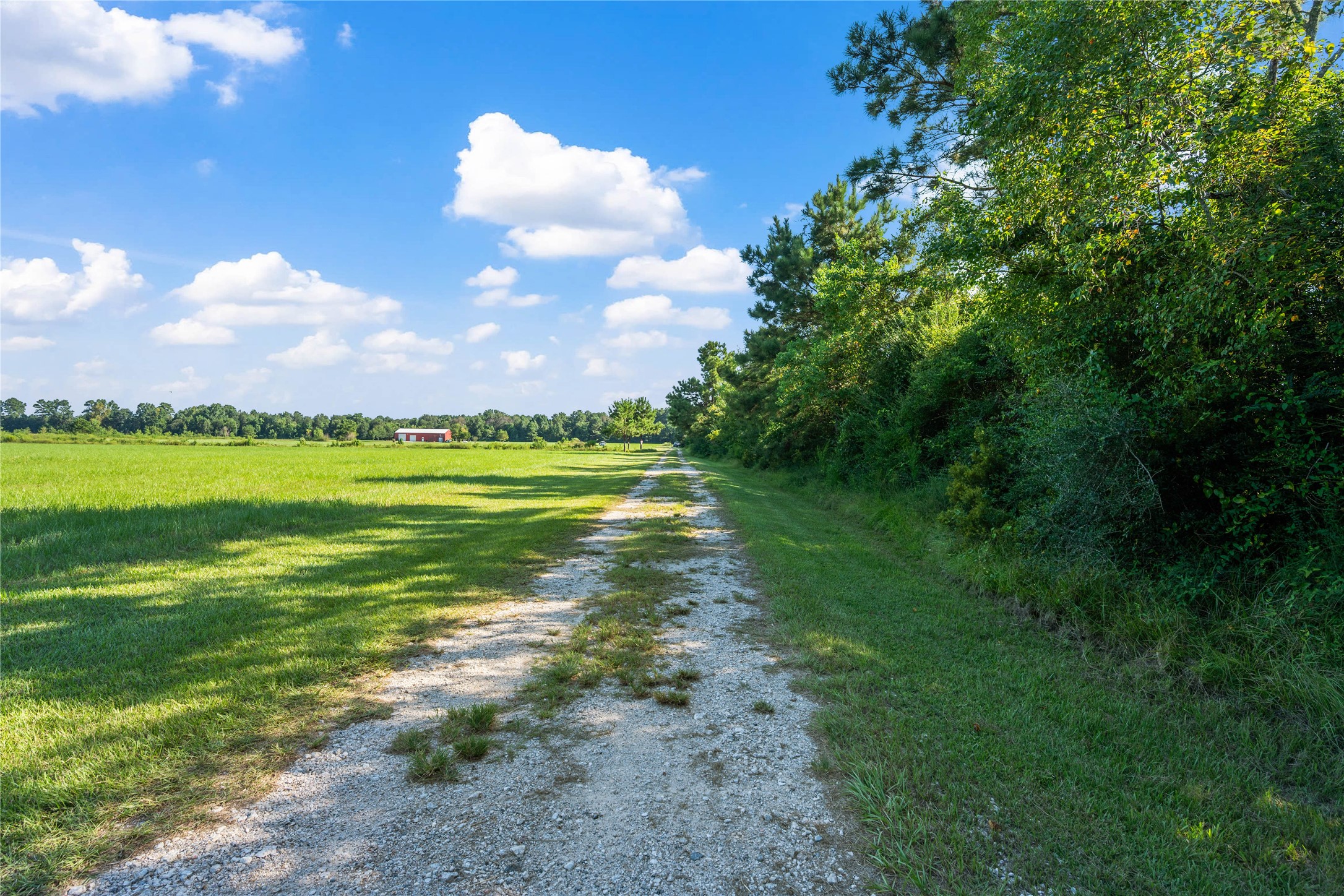 501 County Road 2276 Cleveland, TX 77327 - Photo 49 of 49 a view of a lake with a big yard