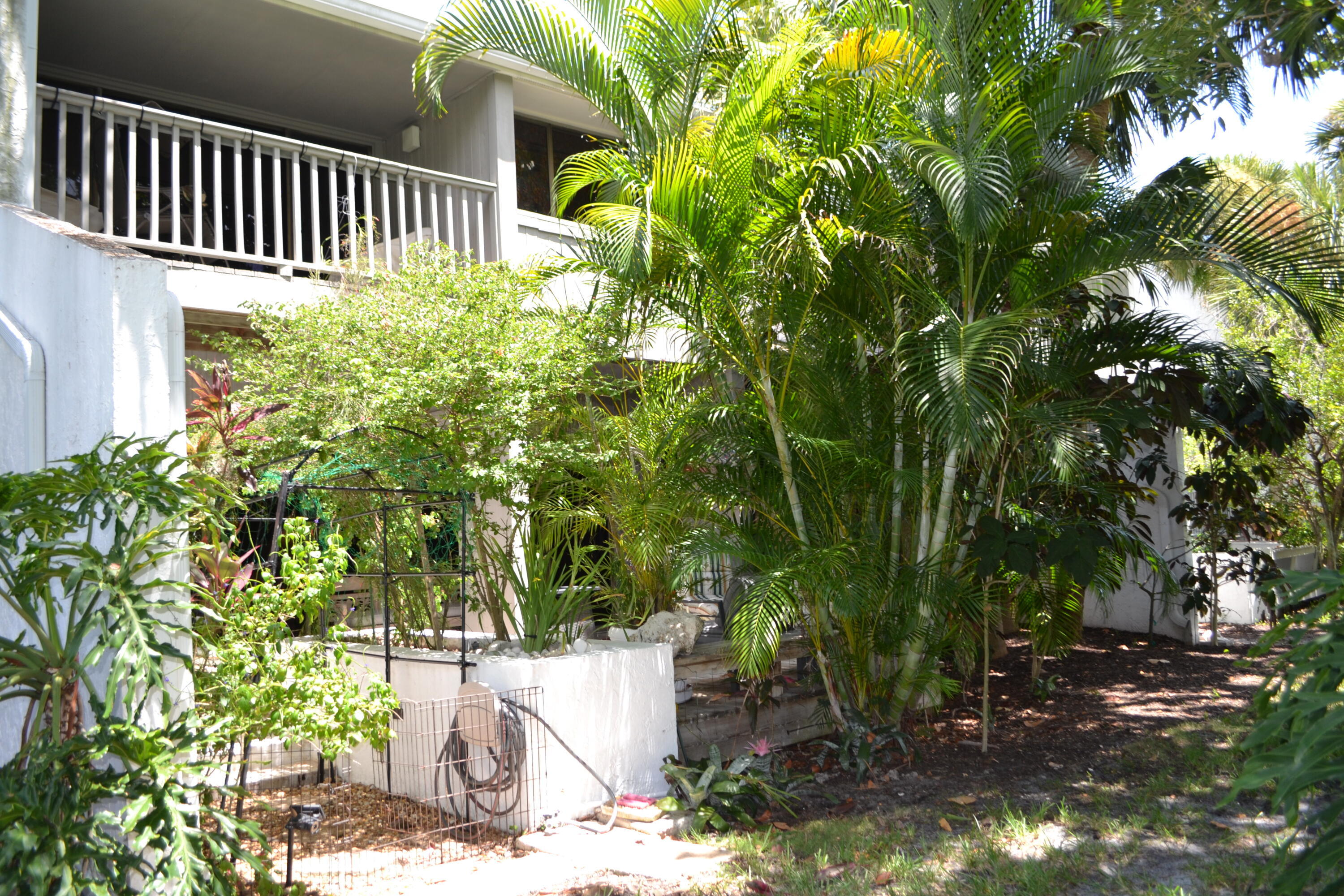 17145 Bay Street Jupiter, FL 33477 - Photo 27 of 43 a view of a house with a yard
