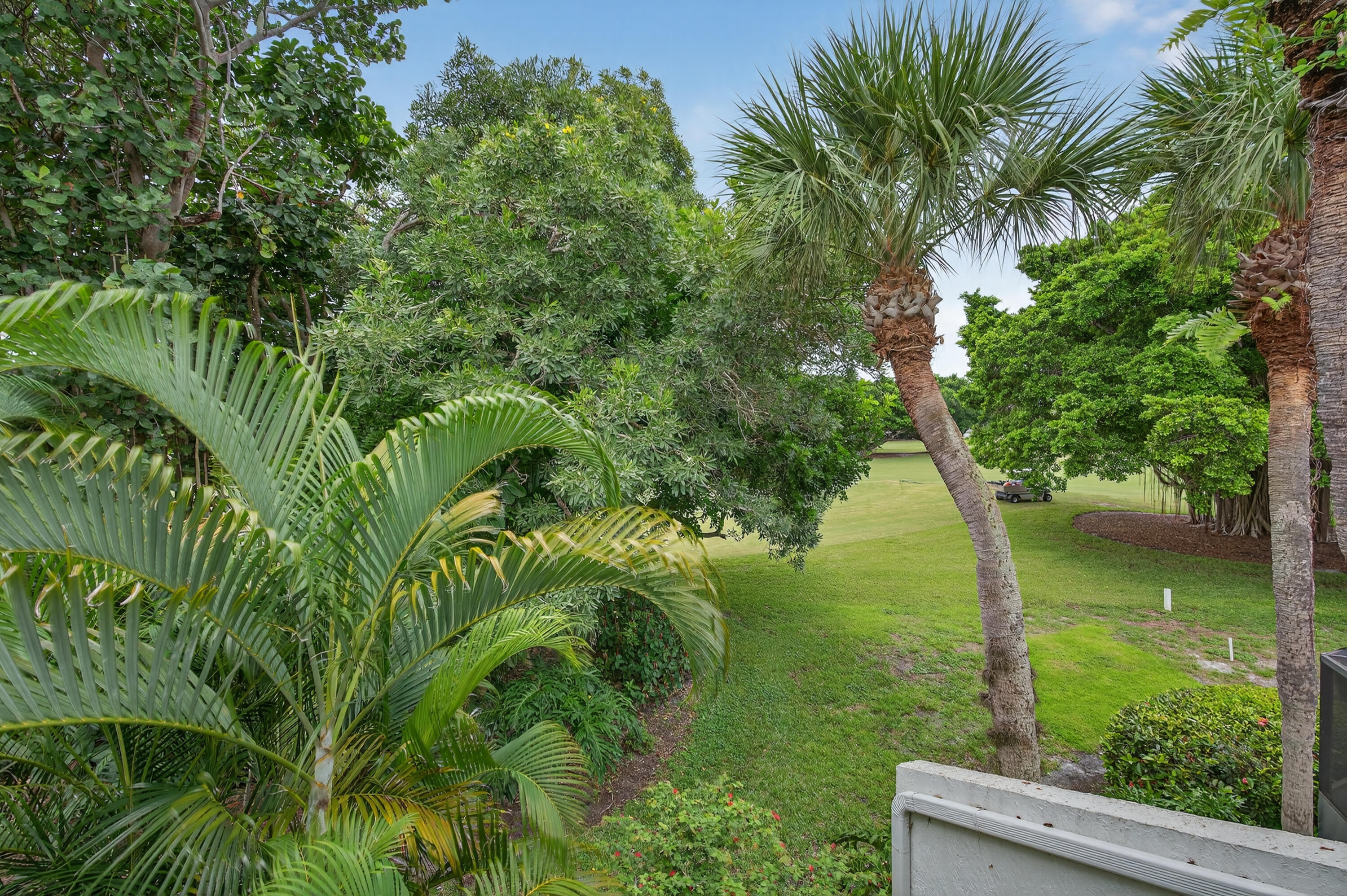 17145 Bay Street Jupiter, FL 33477 - Photo 33 of 43 a view of a garden with a lake