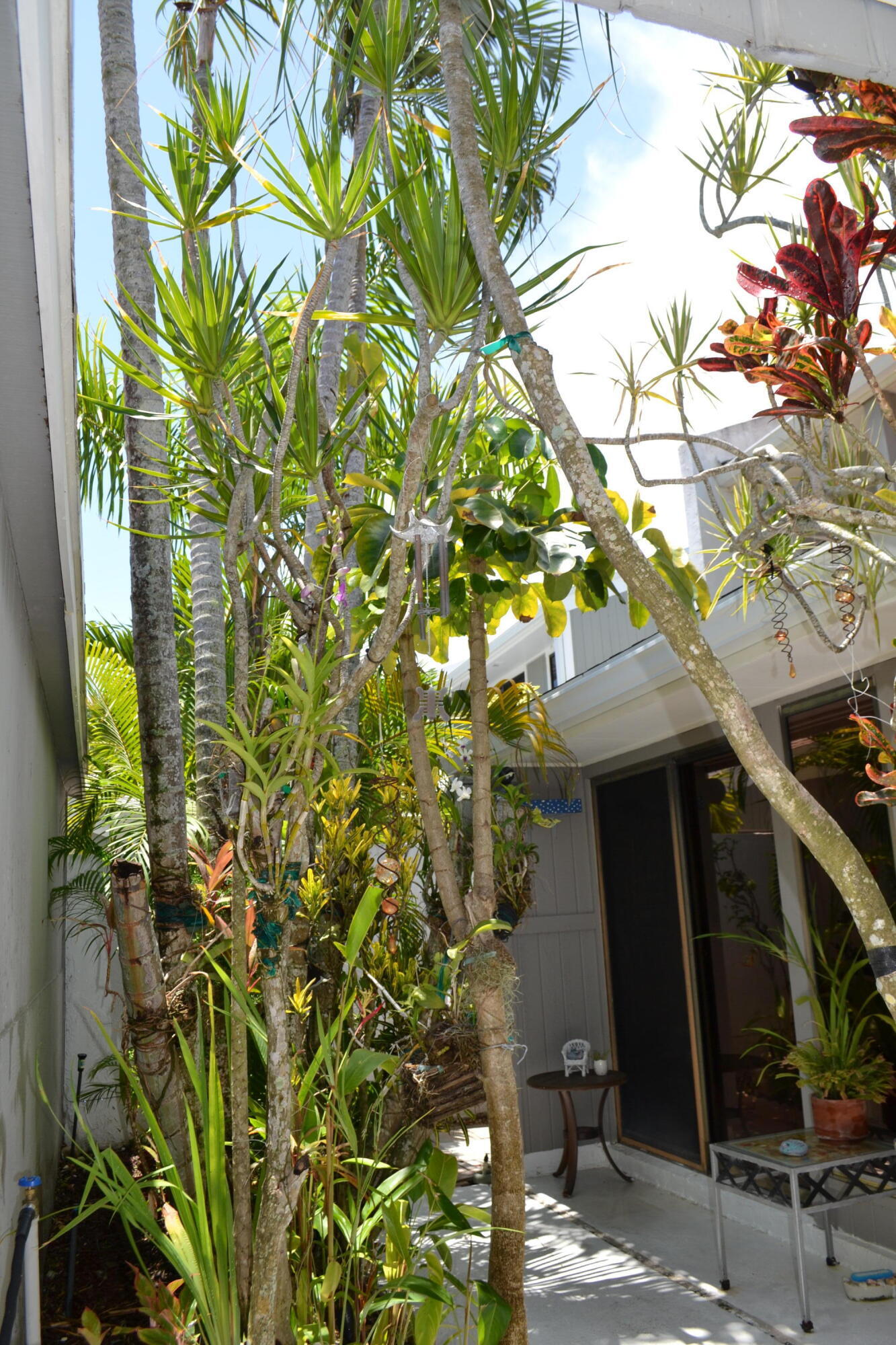 17145 Bay Street Jupiter, FL 33477 - Photo 7 of 43 a house view with a plant in the forest