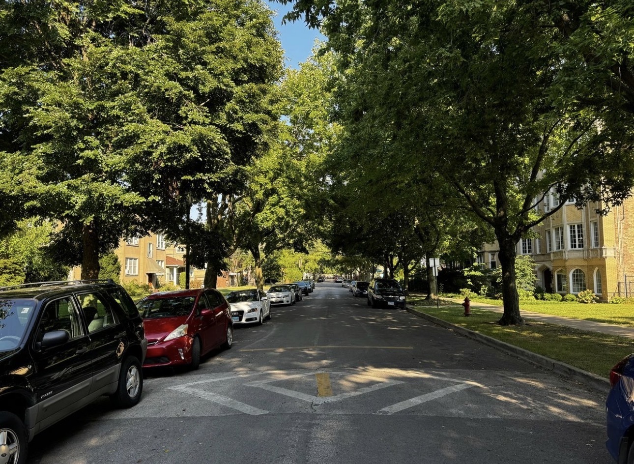 725 Brummel Street, Unit 2 Evanston, IL 60202 - Photo 29 of 29