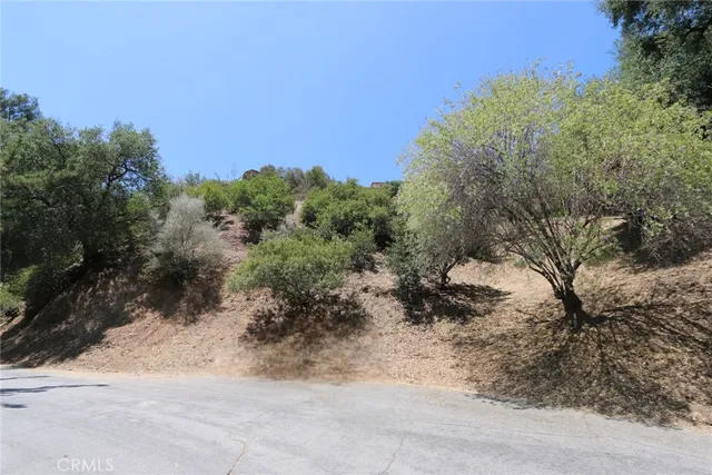 a view of a yard with a tree