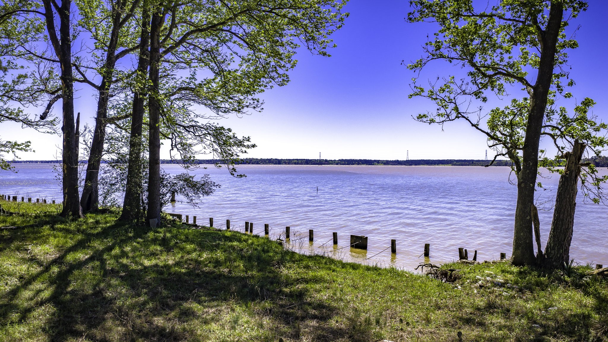 2405 Barrett's Landing Road Trinity, TX 75862 - Photo 11 of 30 a view of a house with a yard
