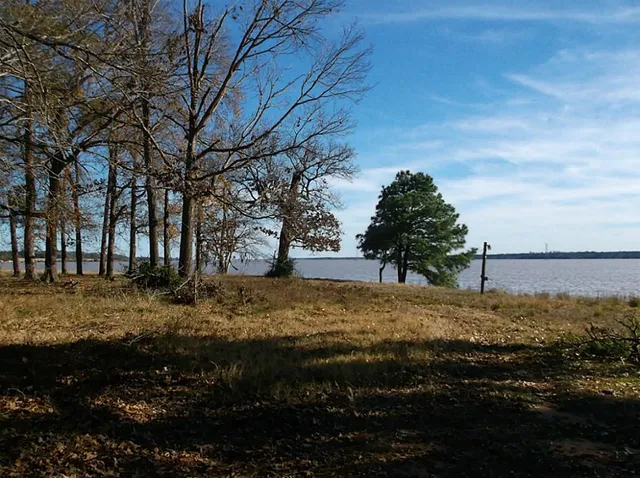 a view of a yard with an trees