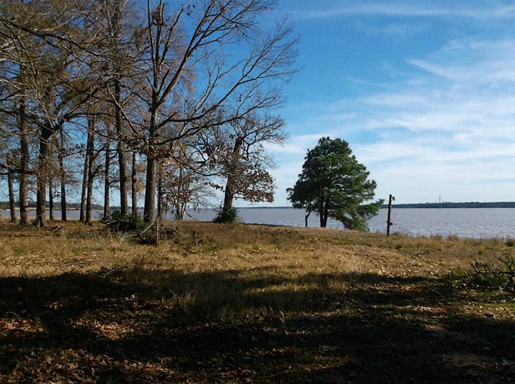 2405 Barrett's Landing Road Trinity, TX 75862 - Photo 11 of 48 a view of a yard with large trees