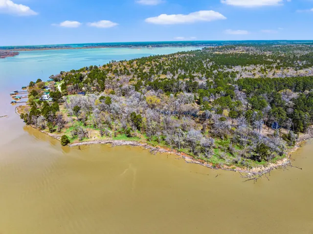a view of a backyard with large trees