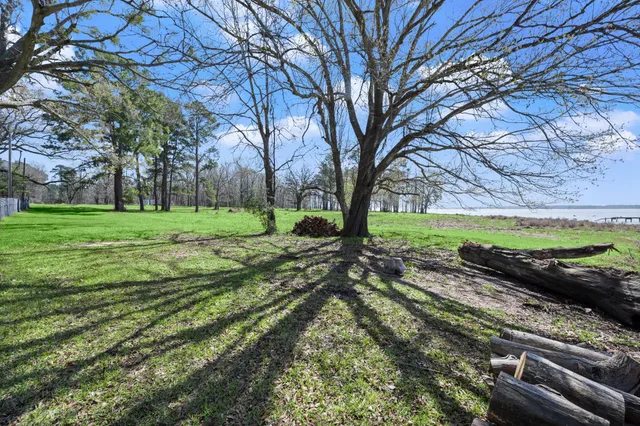 a backyard of apartments with large trees
