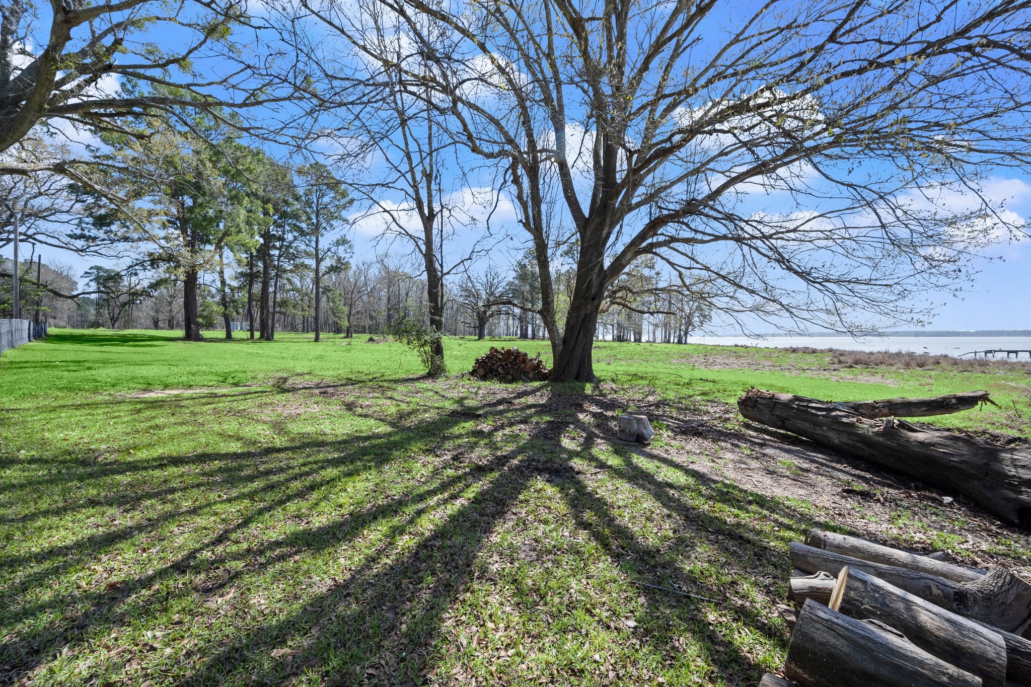 2405 Barrett's Landing Road Trinity, TX 75862 - Photo 16 of 48 a view of a yard with an trees