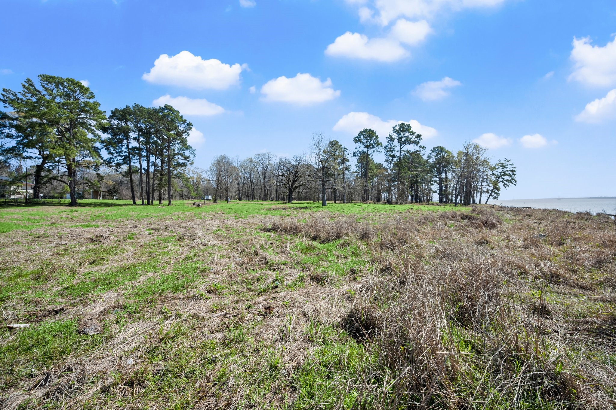 2405 Barrett's Landing Road Trinity, TX 75862 - Photo 17 of 48 a view of a field with a trees in the background