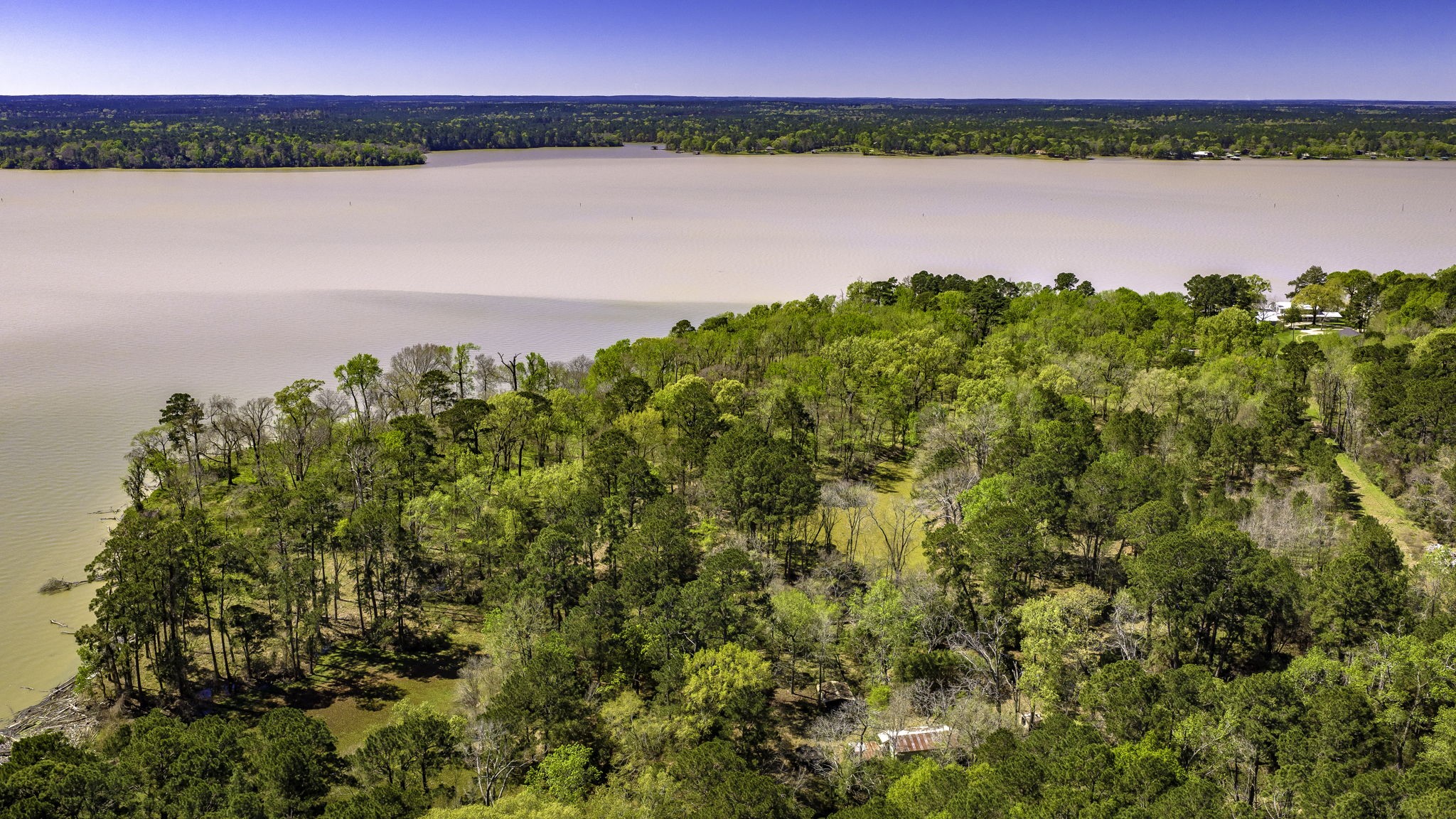 2405 Barrett's Landing Road Trinity, TX 75862 - Photo 19 of 30 a view of a lake
